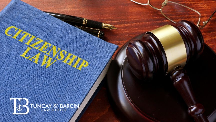 The lawyer’s role in the process